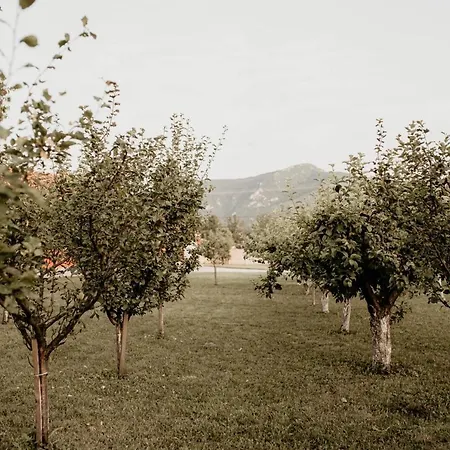 Vikendica Castanea Banja Zdrelo Hébergement de vacances