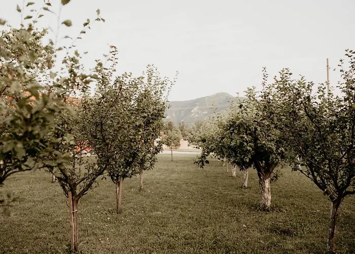 Vikendica Castanea Banja Zdrelo בית נופש